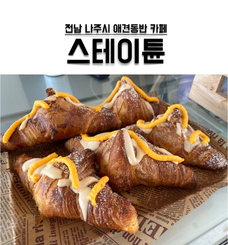 사진 5