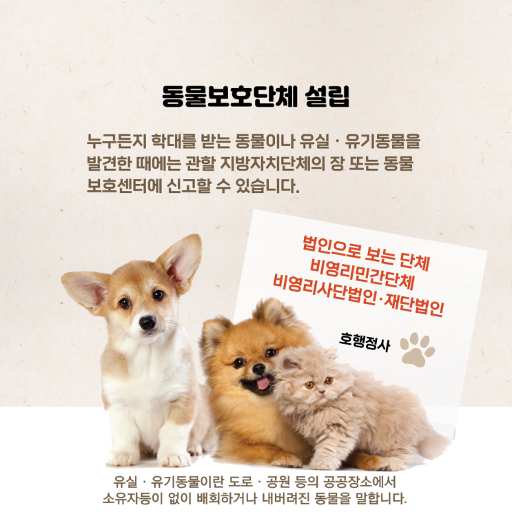  동물보호단체 비영리사단법인 설립허가 사례