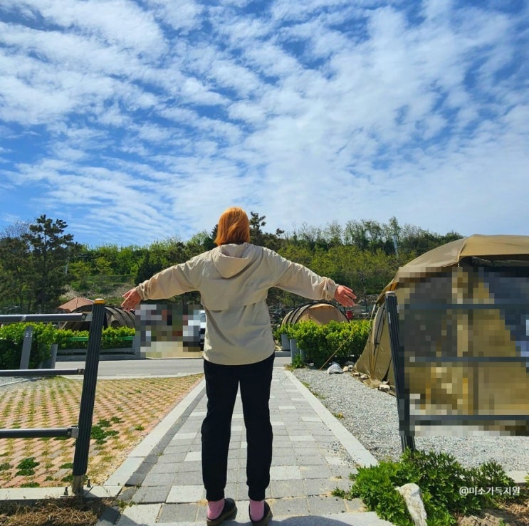  추암오토캠핑장 예약 동해 바다가 보이는 야영장
