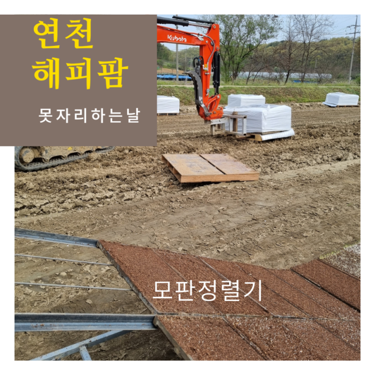  쌀농사 못자리 모판정렬기 모판나르기 마른못자리 벼농사시작