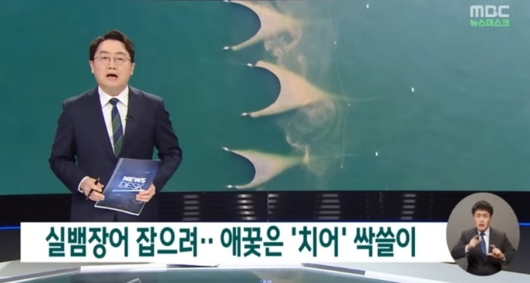  생태계의 포식자, 생태계 파괴. 멸종의 주범 원인, 생태계의 위협