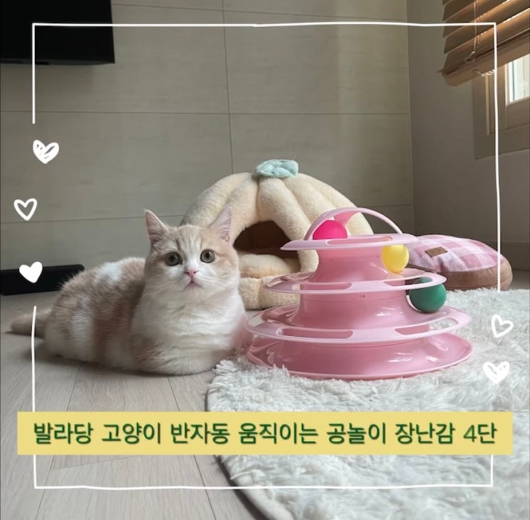  어린 고양이 장난감 : 발라당 고양이 반자동 움직이는 공놀이 장난감 4단 석 달 후기
