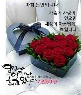 이런 스타벅스 이런 스타벅스