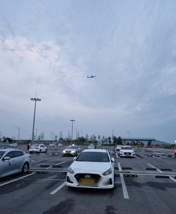  인천공항 입국시에도 예약 가능해요 (일산 탄현 1동)