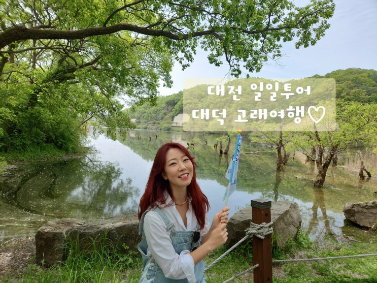  대전 대덕 시티투어 고래여행 대청댐부터 계족산 뻔뻔한 클래식까지