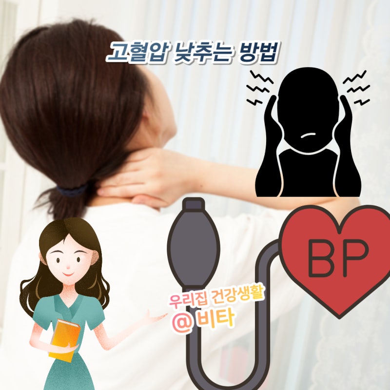 혈압정상치 저혈압 고혈압 낮추는 방법 혈압에좋은 식품영양제 임신성