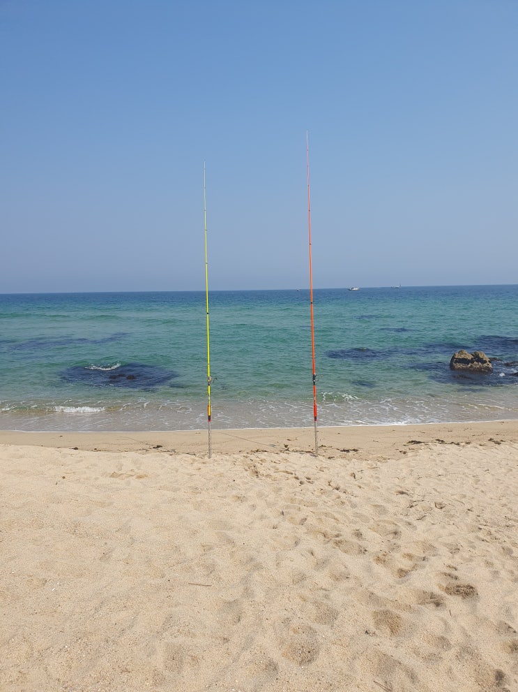  강릉 해변 감성돔 원투낚시 및 방파제 낚시