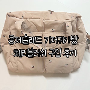 [구입후기] 콩제슬래드 기저귀가방 체리블러쉬 구입 후기 (룩수스베이비 직구)