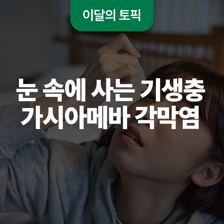 눈 속에 사는 기생충, 가시아메바 각막염