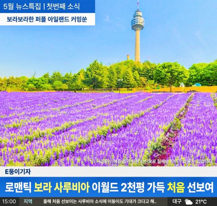  5월 가볼만한곳 대구 이월드 어린이날 국내여행지 추천