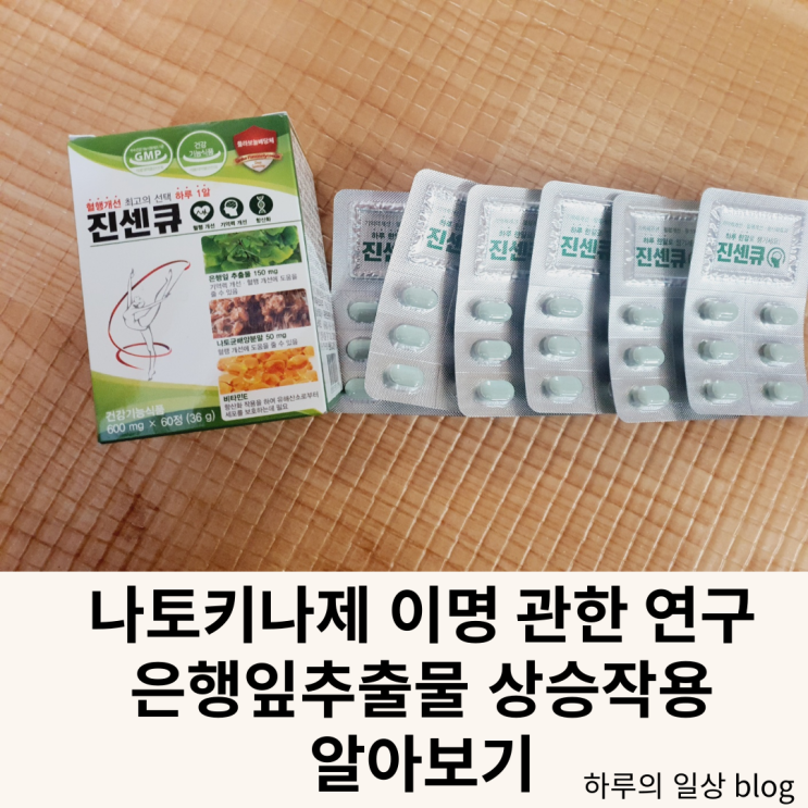  나토키나제 이명에 관한 연구와 은행잎추출물 상승작용