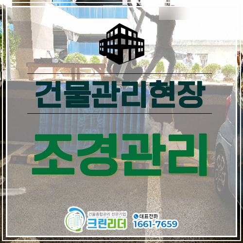  [인천,부평,부천,시흥,수원,안산,김포,일산,강서구,노원구 건물관리]빌라 화단 조경관리 나무관리 잔가지제거 화단정리
