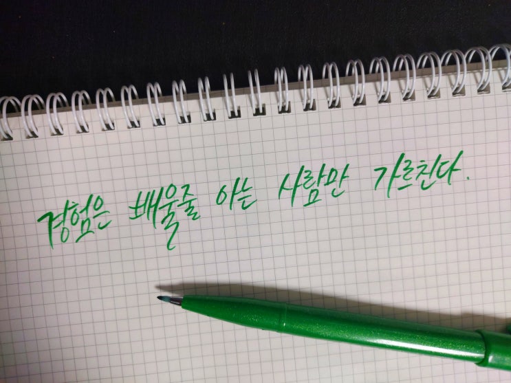  경험은 배울 줄 아는 사람만 가르친다.