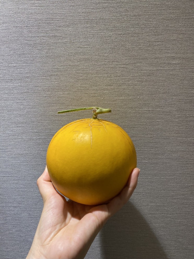  [노란/황금 메론] 리뷰