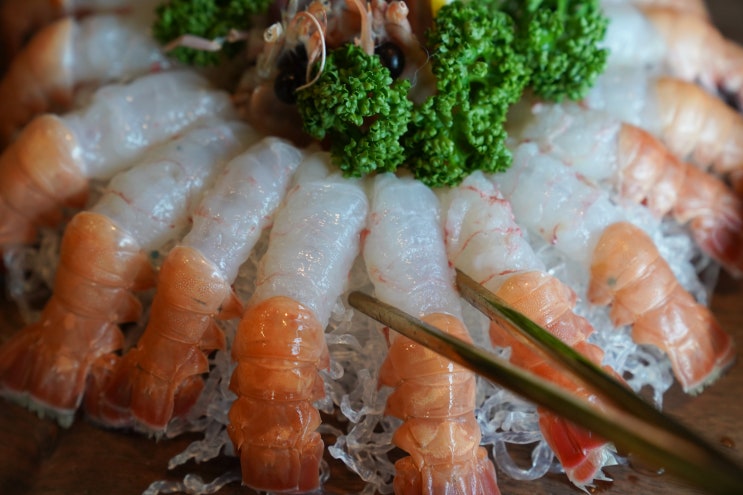  제주산방산횟집추천 :: 신선한 고등어회 딱새우회 맛있었던 제주한판횟집