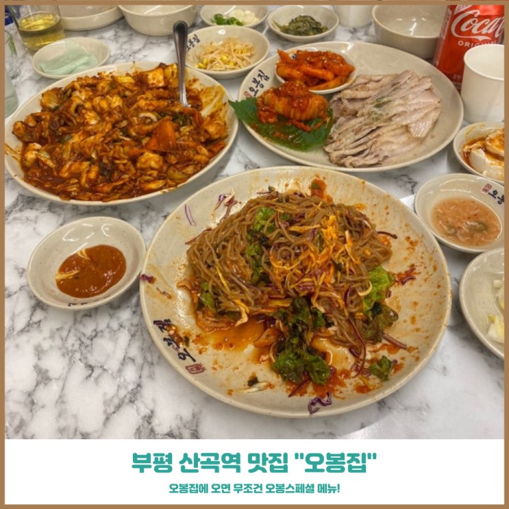  부평 산곡역 맛집 오봉집 청천산곡점에서 즐긴 스페셜 메뉴 밥집 추천
