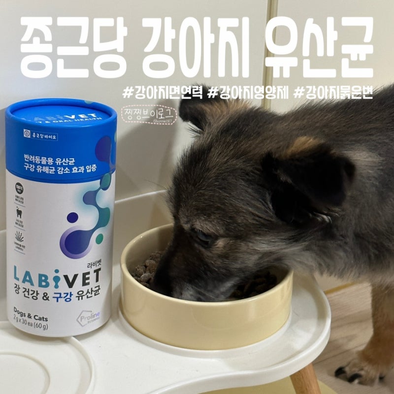 [리뷰] 종근당강아지유산균으로 반려견장건강 강아지설사 관리