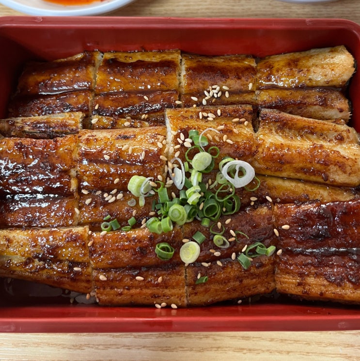  서귀포시 장어덮밥 맛집 사계해변 근처 사계의시간