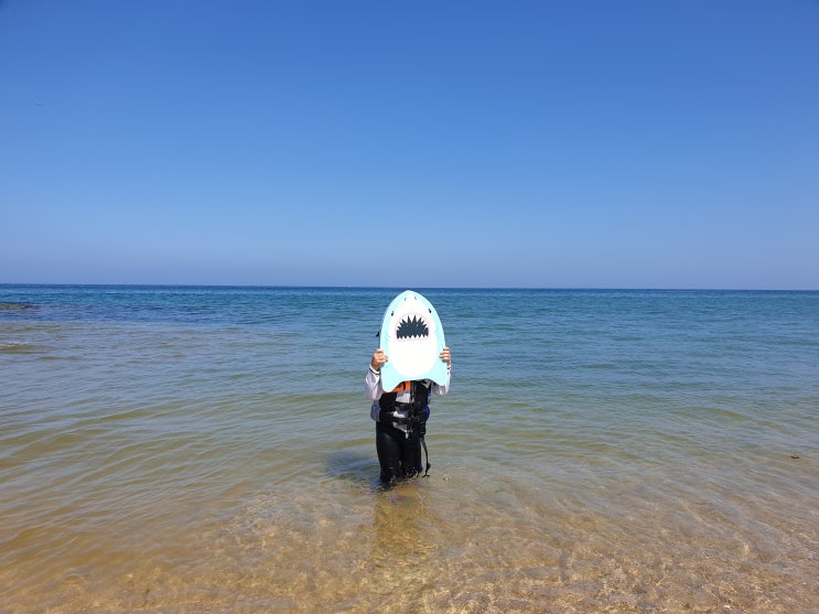  고성 - 청간정 카라반