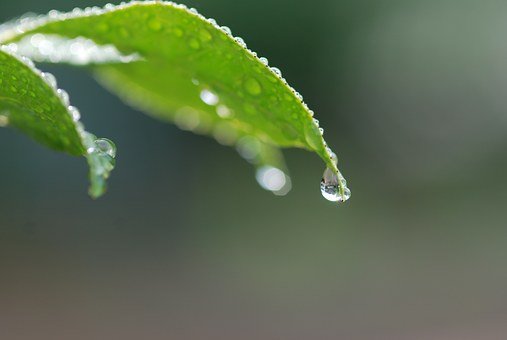  아리아 미터/주간 별자리 운세/2023년 4월 24일~4월 30일/사자~염소자리
