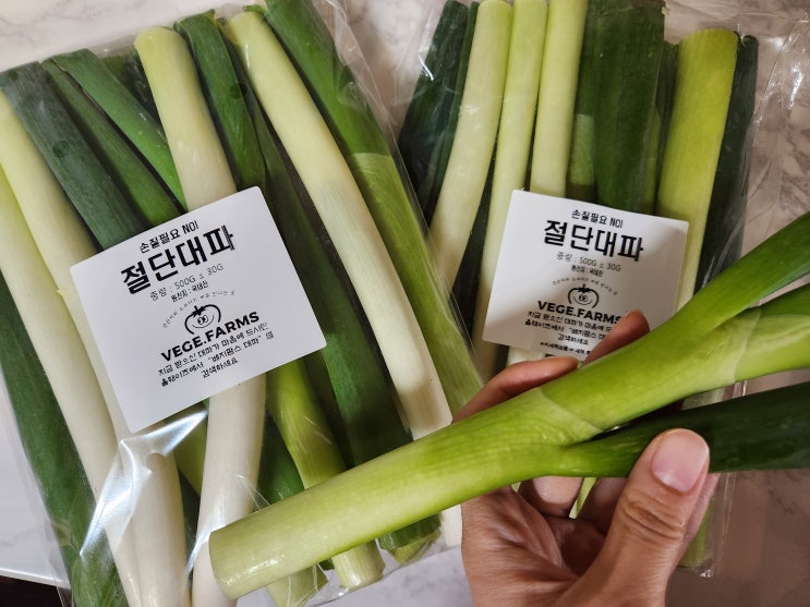  앱테크 추천 올팜 파 수확