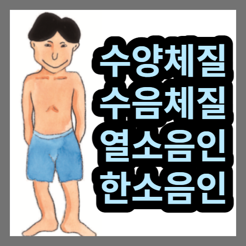  소음인과 수체질(수양체질 수음체질, 열소음인, 한소음인)의 특징