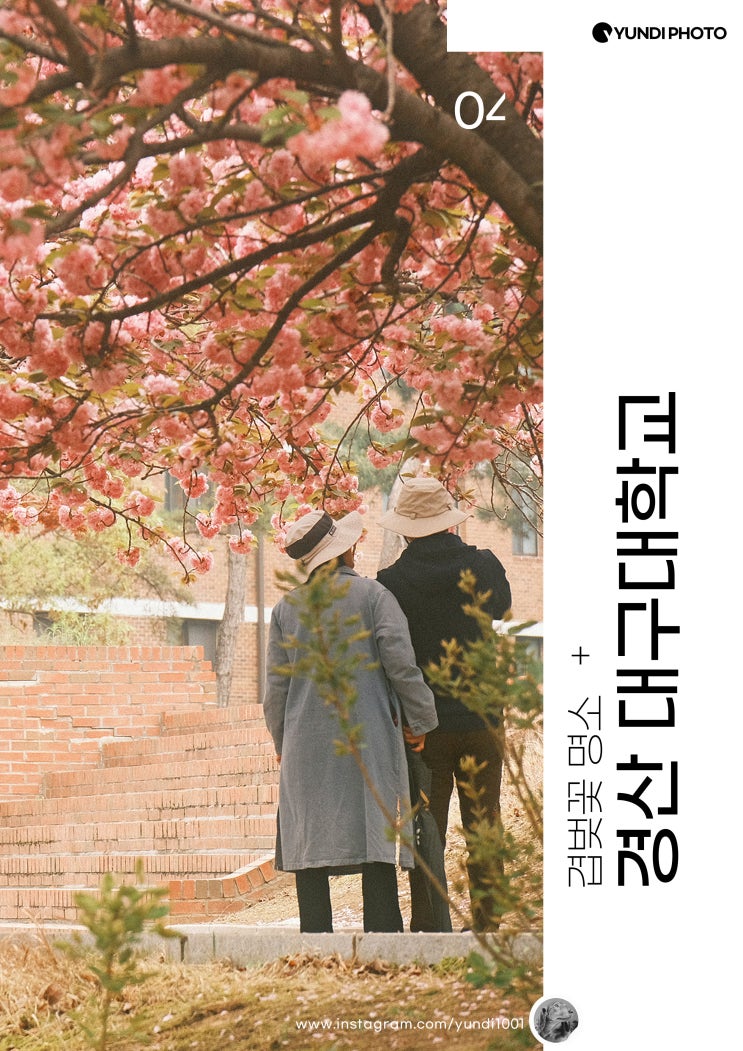 경산 가볼만한곳 대구대학교 겹벚꽃 위치 청보리 문천지 경산 가볼만한곳 대구대학교 겹벚꽃 위치 청보리 문천지