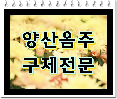  양산 음주운전 구제 행정사 선택을 잘 해야