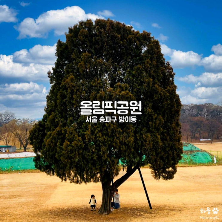 서울 송파 올림픽공원 나홀로나무 왕따나무｜주차요금