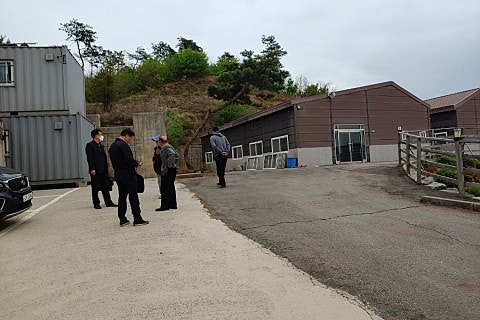 열우물새싹인삼 이미지
