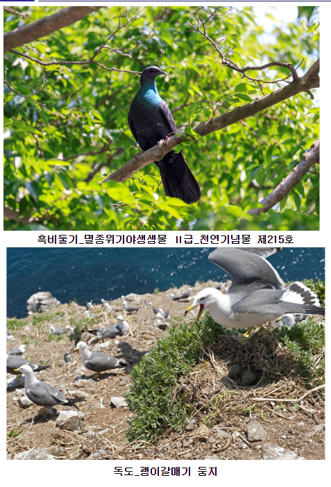 국립중앙과학관, 2022년 생물다양성 공동학술조사 결과보고서 ‘경상북도 울릉군(울릉도·독도) 일대의 생물다양성’ 발간 국립중앙과학관, 2022년 생물다양성 공동학술조사 결과보고서 ‘경상북도 울릉군(울릉도·독도) 일대의 생물다양성’ 발간
