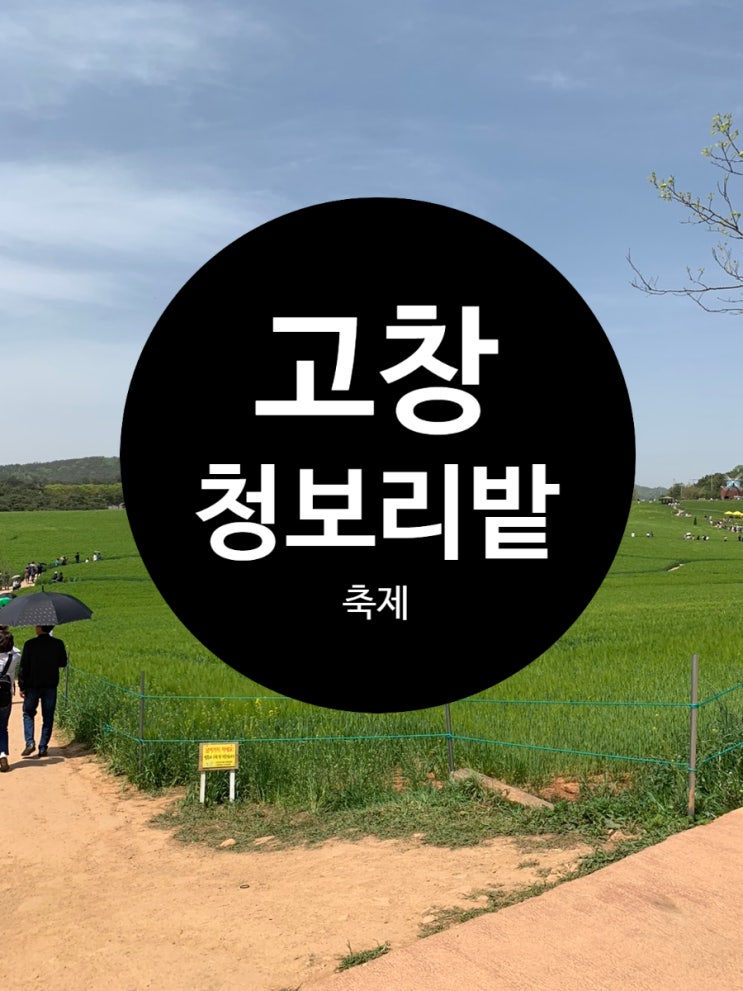 고창청보리밭축제 도깨지 촬영장 학원농장 주차비 고창청보리밭축제 도깨지 촬영장 학원농장 주차비