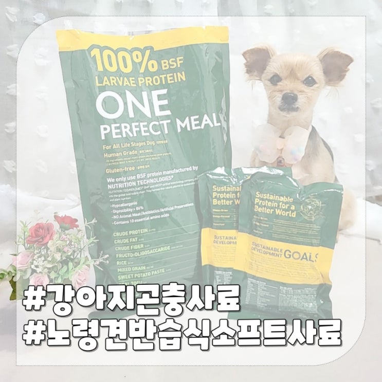  반려견 소프트 사료 원퍼펙트밀,노령견 추천 강아지 곤충사료