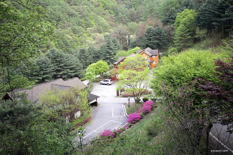  원주 백운산자연휴양림 웰빙걷기, 연립동 영지버섯 예약