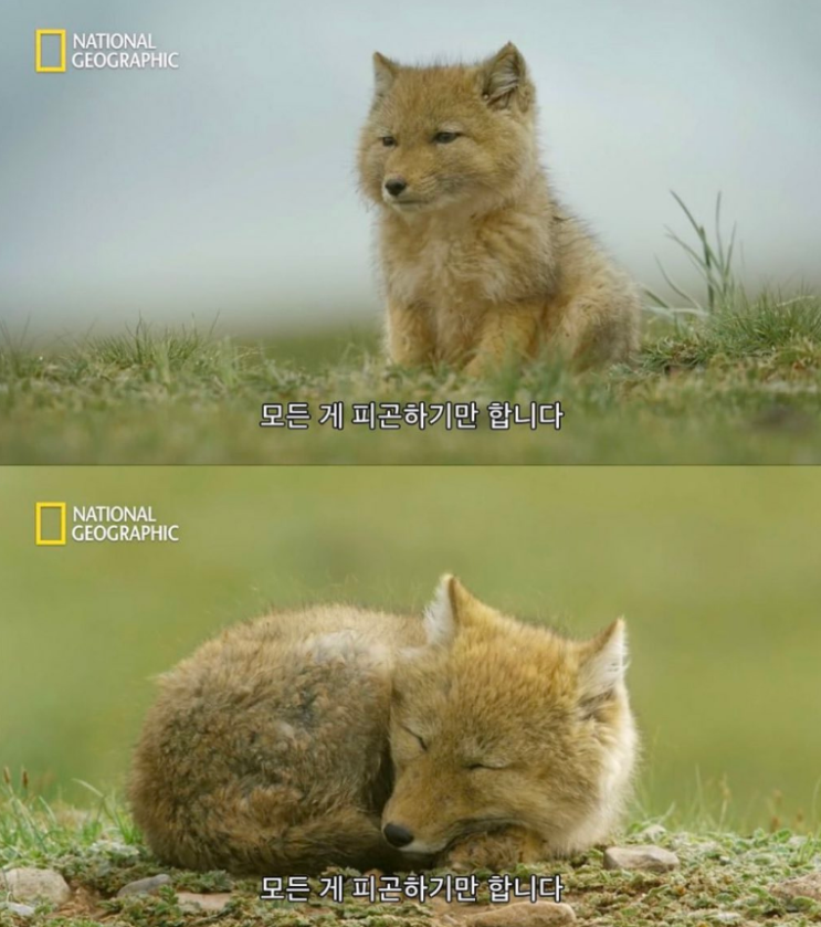  [230424] 주짓수 58회차