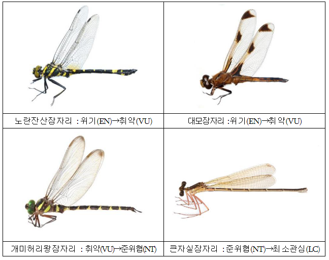 자생 곤충 701종 멸종위험 상태 재평가