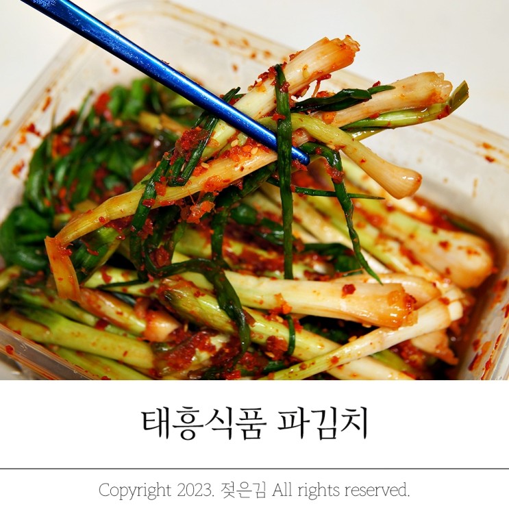 파김치추천 집밥을 부르는 태흥식품 파김치