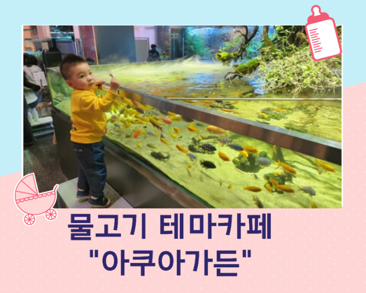  물고기멍 가능한 테마 카페 아쿠아 가든 용인 아이 와가 볼 만한 곳