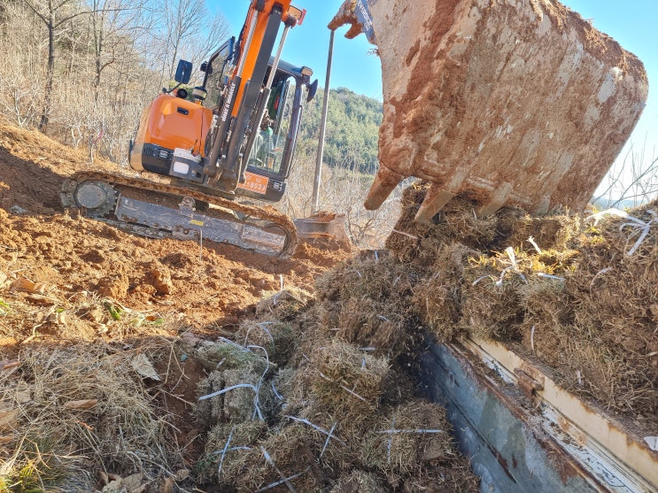 산소잔디 묘지잔디 떼작업 배송 방법