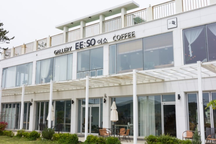 울산 브런치카페 카페이소 편하게 즐겼던 울산 애견동반카페