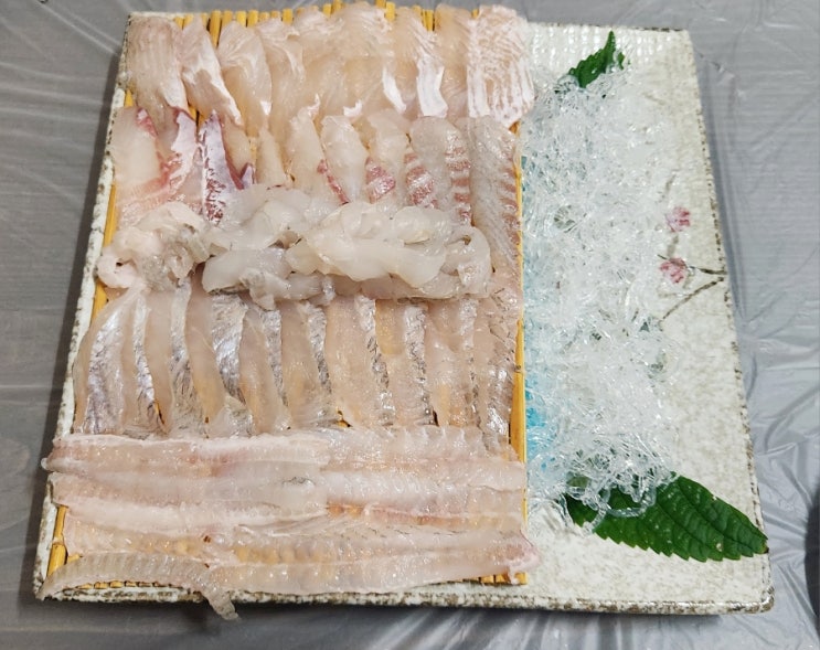  창원 중앙동 맛집 신성바다횟집