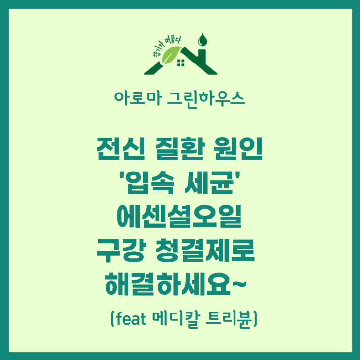 전신질환 원인 '입속 세균', 아로마오일 구강 청결제로 해결하세요~ (feat 메디칼 트리뷴)