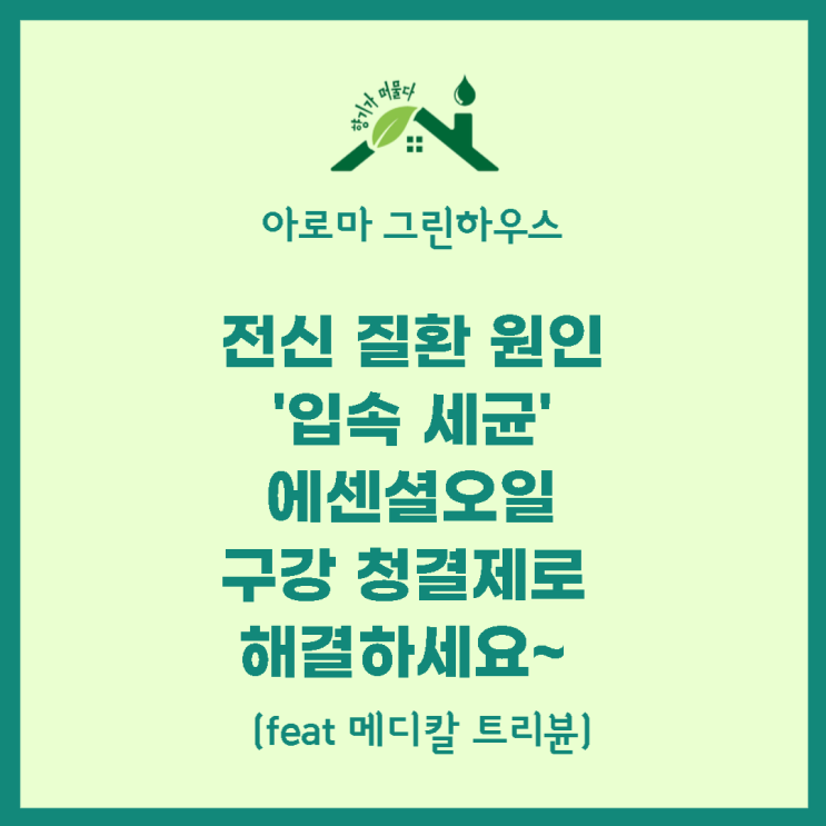  전신질환 원인 '입속 세균', 아로마오일 구강 청결제로 해결하세요~ (feat 메디칼 트리뷴)