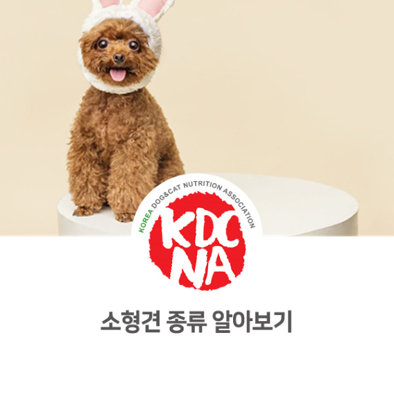  우리나라 소형견 종류 알아보기 [한국반려동물영양협회/댕밀헌/애견수제간식/청주/충주/논산_1091]