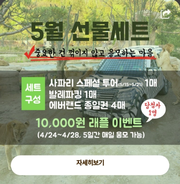   에버랜드 5월 선물 세트(사파리 스페셜투어+발레파킹+이용권4매) #래플이벤트
