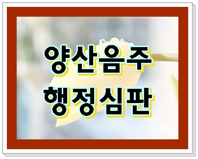 양산 음주운전 행정심판 이런 분이시라면 양산 음주운전 행정심판 이런 분이시라면