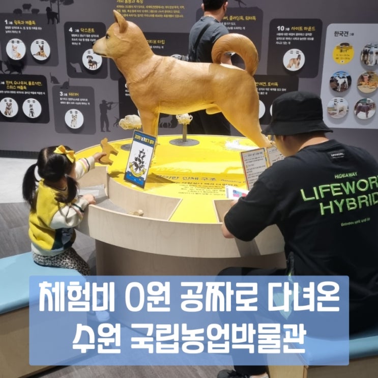  수원 아기랑 가기 좋은 국립농업박물관&어린이박물관 예약방법