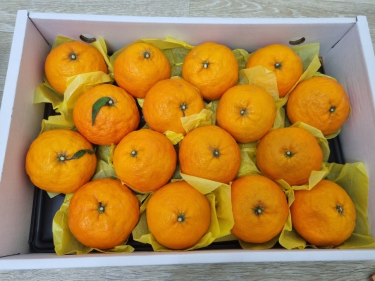  [고향사랑기부제] 지역 특산물이 공짜?!(제주도, 세액공제, 답례품 후기)