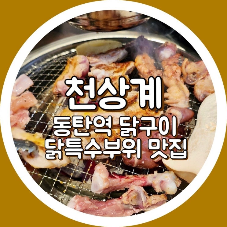  천상계 동탄역점 - 동탄2맛집, 동탄회식, 닭구이, 닭특수부위