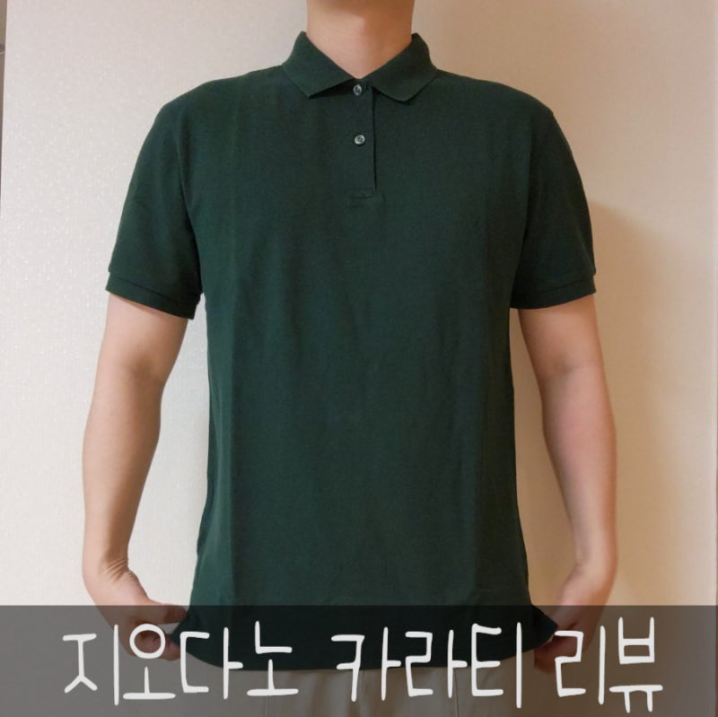 지오다노 카라티셔츠 반팔티 리뷰 후기 이월상품 구입 사이즈 추천